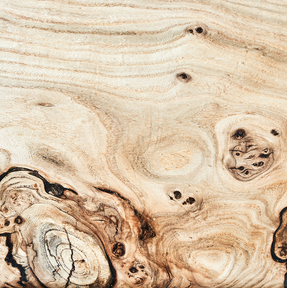 Wood Texture